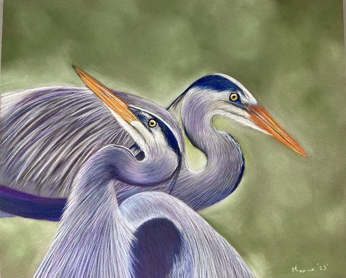 Herons by Maxine Taylor