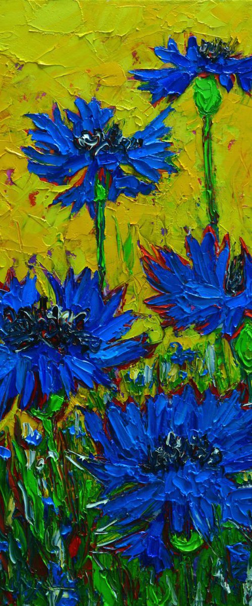 Wild blue cornflowers in sunlight by ANA MARIA EDULESCU