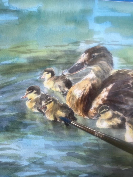 Ducklings Day Out