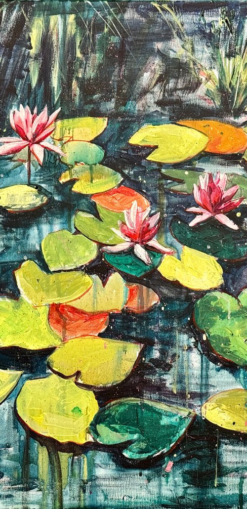 Lotus pond by Bogdan Shiptenko