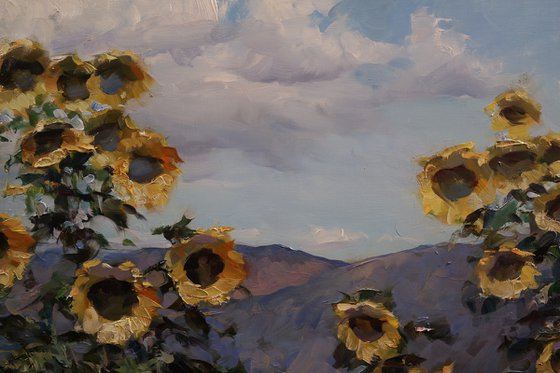 "Embrace the sun"