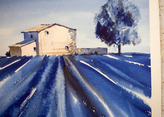 Lavender field in Provence. Color experiment in 2 colours. Medium watercolor pastel drawing bright colors France