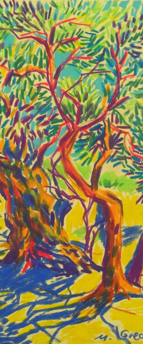 Olive trees and shadows by Maja Grecic