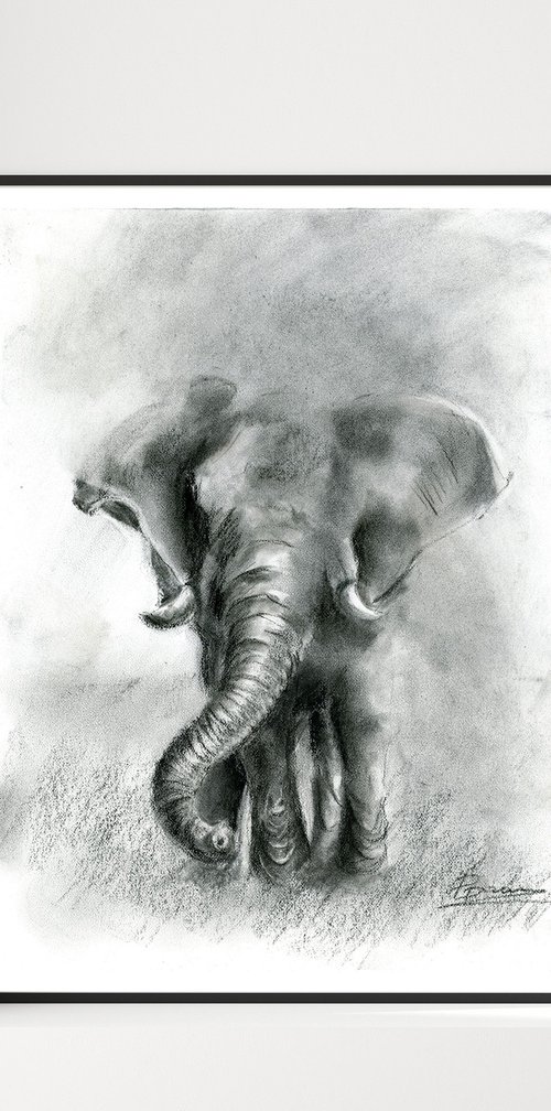 Elephant - Charcoal drawing by Olga Tchefranov (Shefranov)
