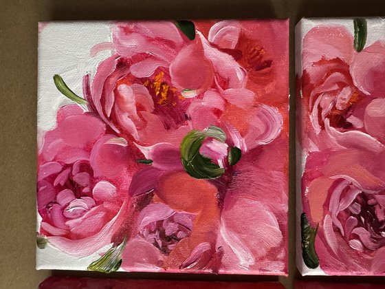 A quadriptych of salmon peonies