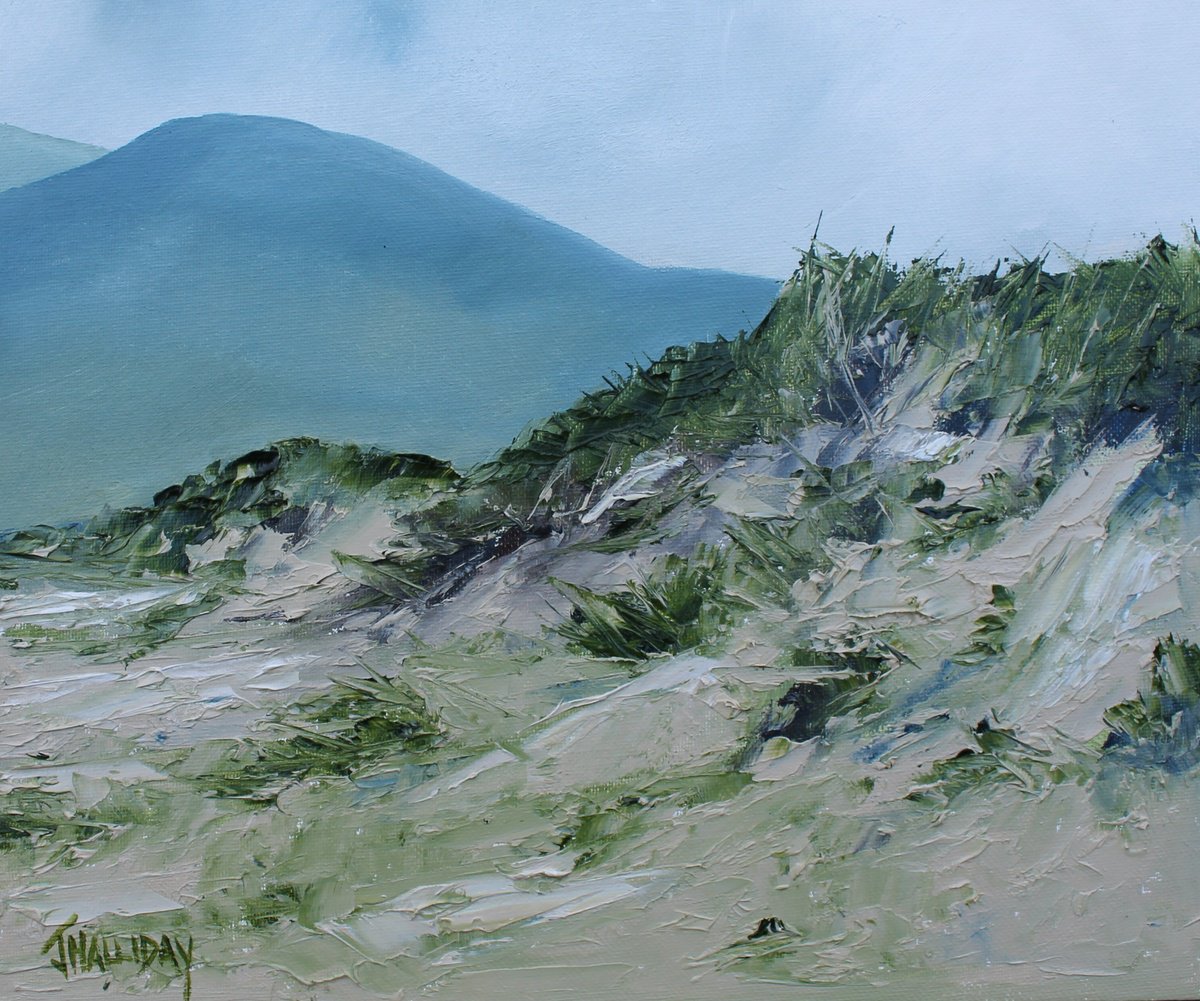 Murlough Dunes Irish Landscape by John Halliday