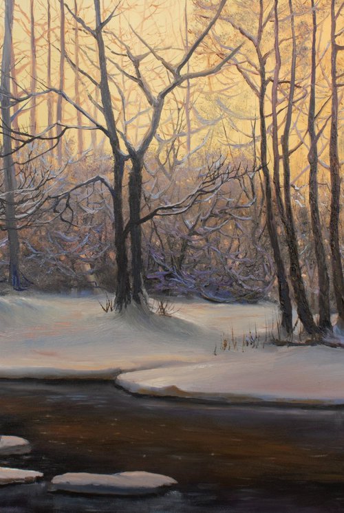 Winter's Tale by Vladimir Jarmolo