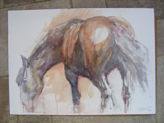 The horse backside (70x50)