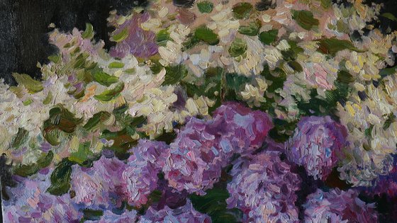 The Bouquet of Aromatic Lilacs