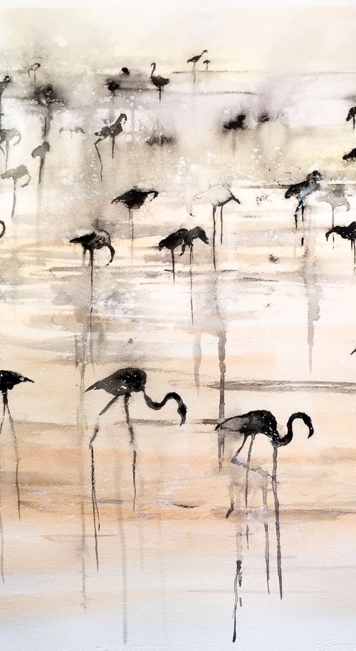 Greater Flamingo by Victor de Melo