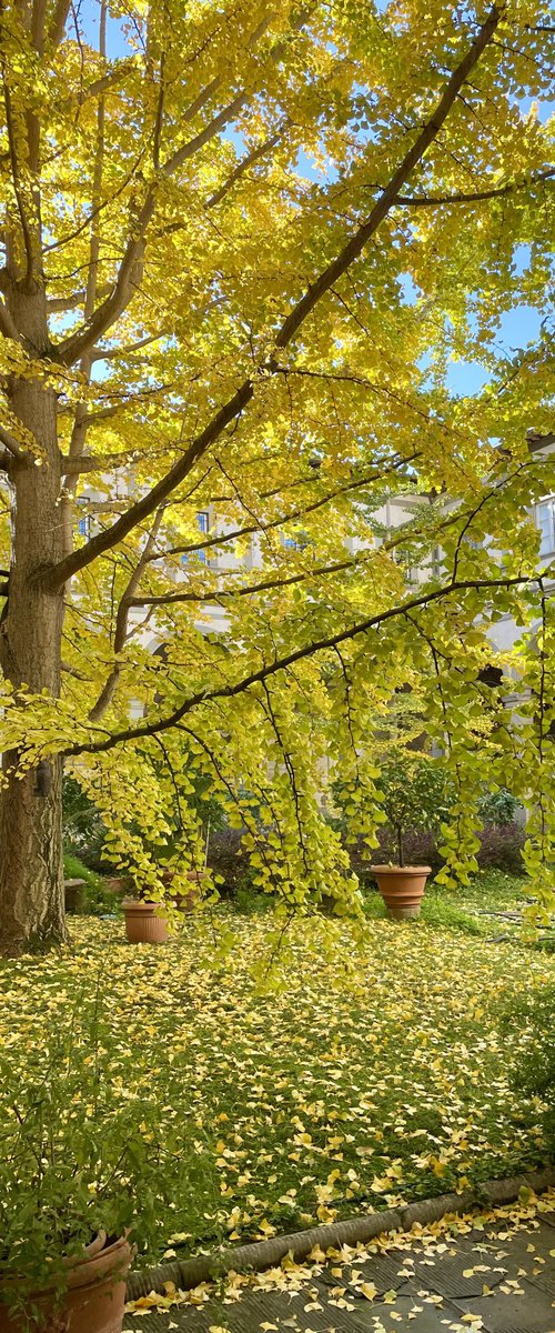 NT#146 Autumn Santo Spirito by Mattia Paoli