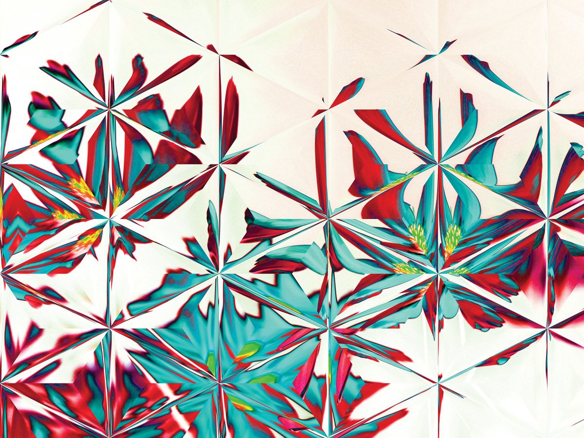 Abstract Botanical Print By Javier Diaz, 60 X 79, Caleidoscopios Ii, Original Artwork