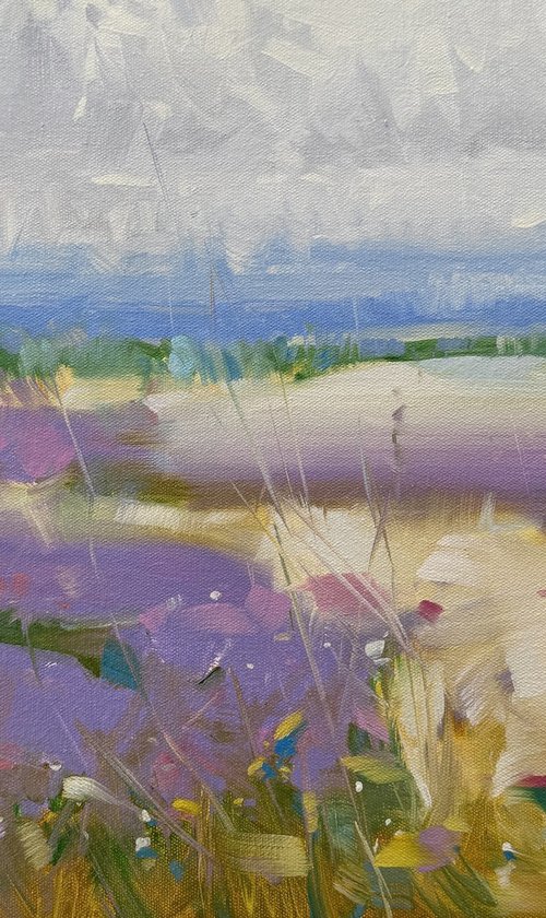 Lavenders by Vahe Yeremyan