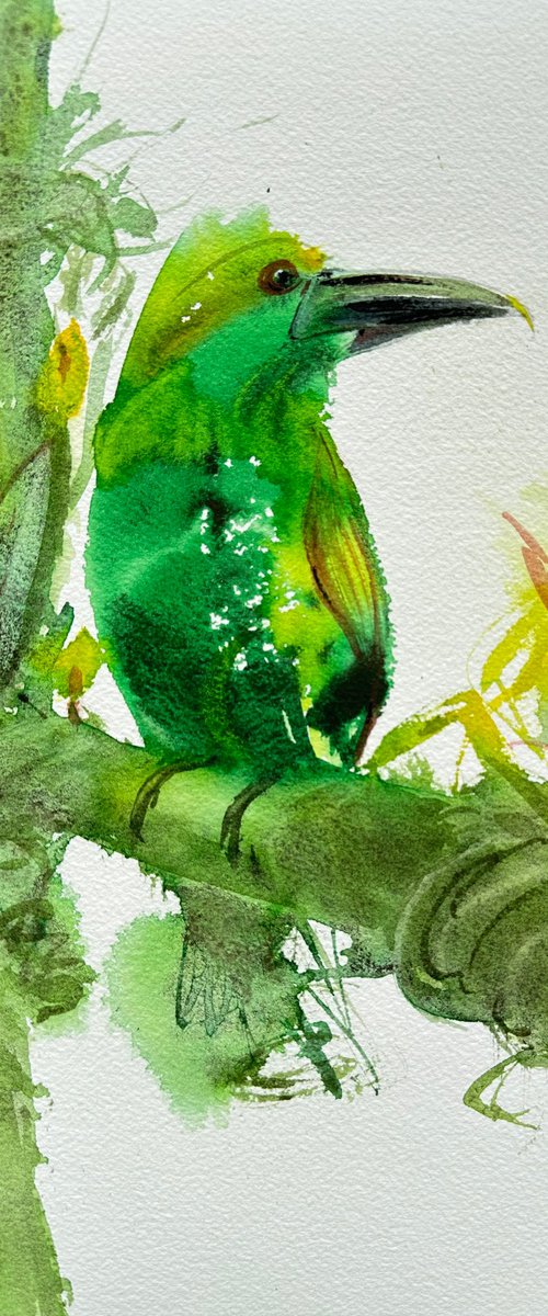 Toucan by Alla Semenova