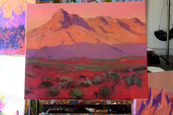 Evening in High Deserts