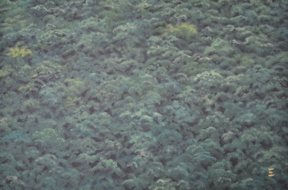 Impressionistic Landscape Acrylic Painting By Eliana Engler, 47 X 31, Amazi?nia I, Original Artwork