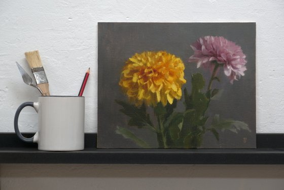 Chrysanthemums