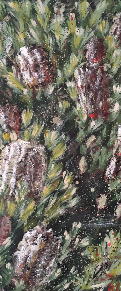 FEELS LIKE HOME - Silver Banksia by HSIN LIN