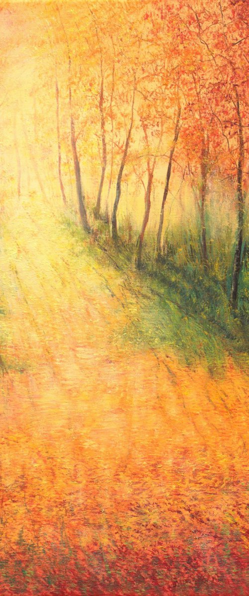 The autumnal light by Ludmilla Ukrow