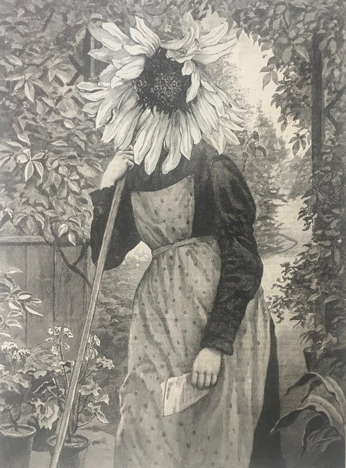 Frances Gardener by Tudor Evans