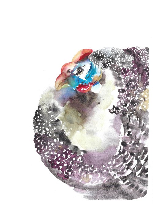 Guinea Fowl Bird, watercolor illustration by Tanya Amos