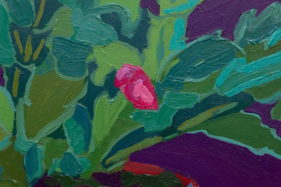 Holiday cactus