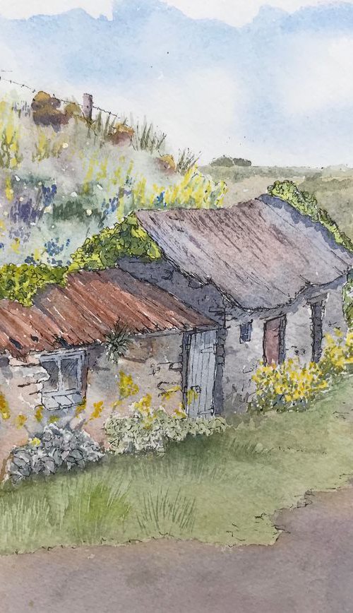 Cornish Fisherman's Cottage by JANE  DENTON