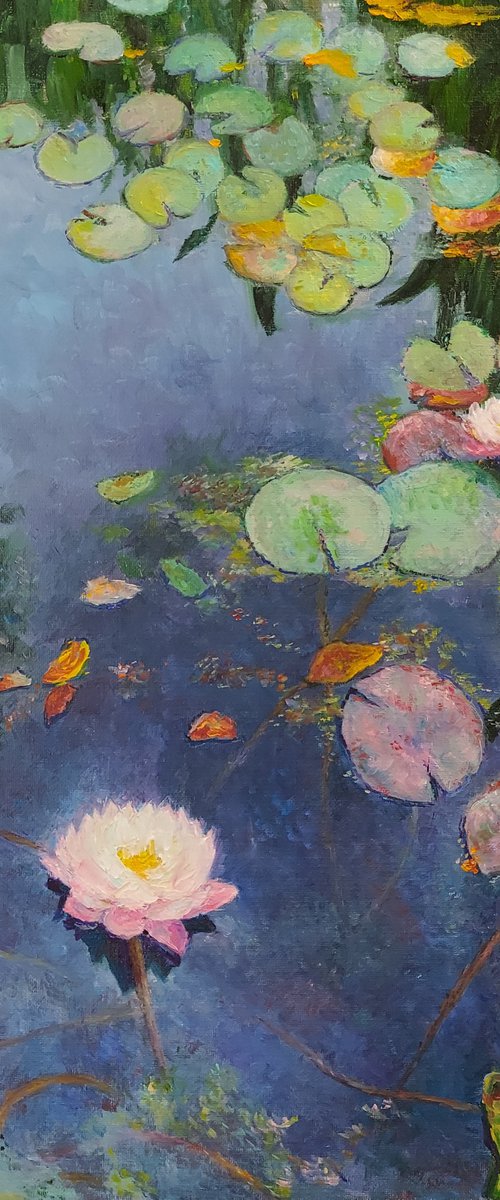 Water lilies by Ekaterina Orlova
