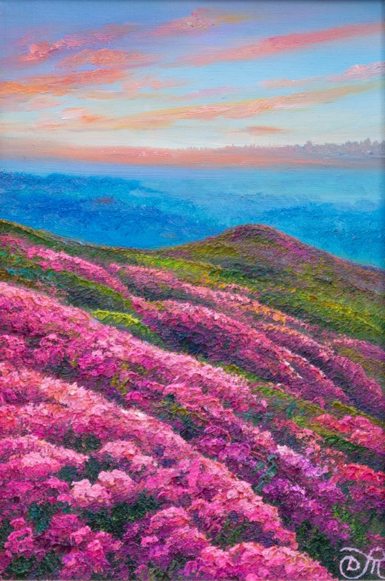 Mountains in flowers