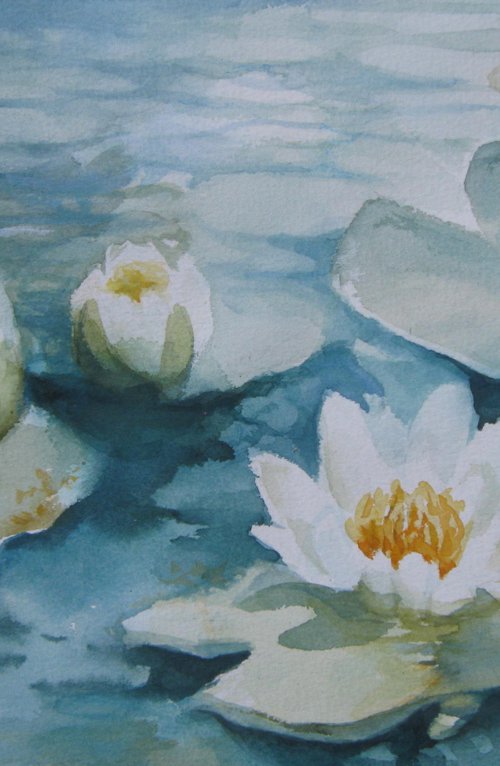 White waterlilies by Elena Oleniuc