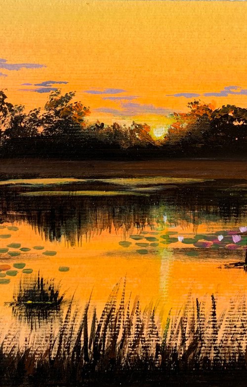 Water lily pond at sunset ! A4 Painting on paper by Amita Dand