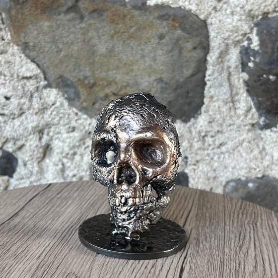 Skull 74-23