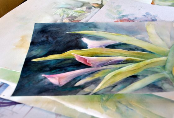 CALLA - TROPIC FLOWERS original watercolour