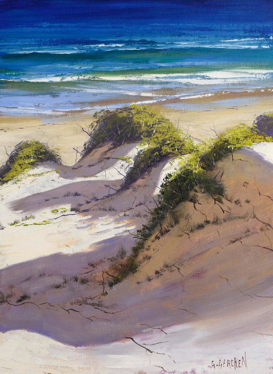 Sandy Dunes to the Beach