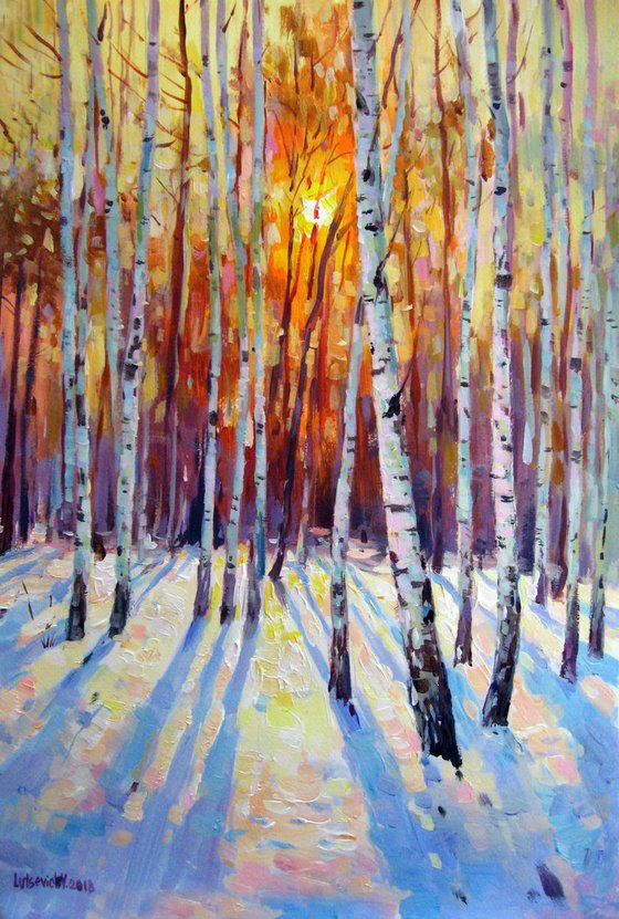 Birches in winter