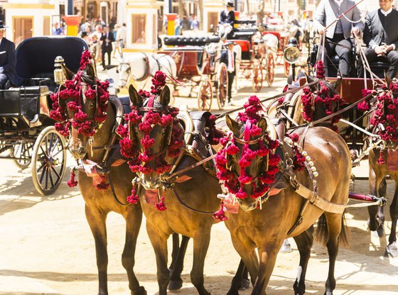 FESTIVAL HORSES