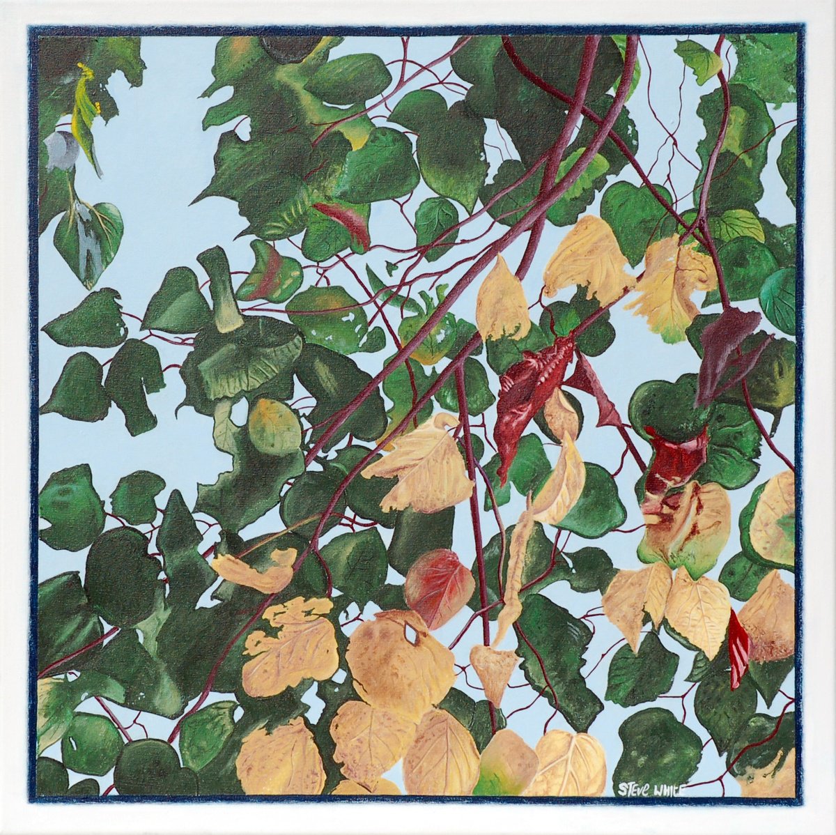 Photorealistic Botanical Acrylic Painting By Steve White, 24 X 24", End Of Summer, Original Artwork