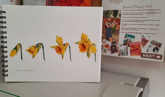 Daffodil Days - Original Watercolour Painting