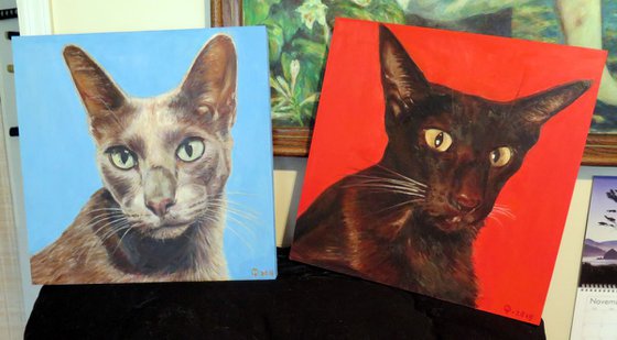 Commission Cat Portraits for Tracey