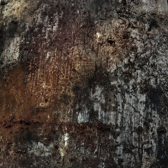 Whispers Of Ancient Trees