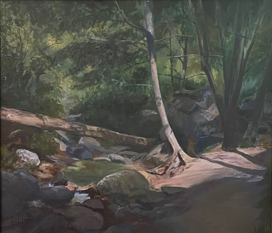 Milliard's Trail