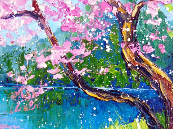 Cherry blossom by the river