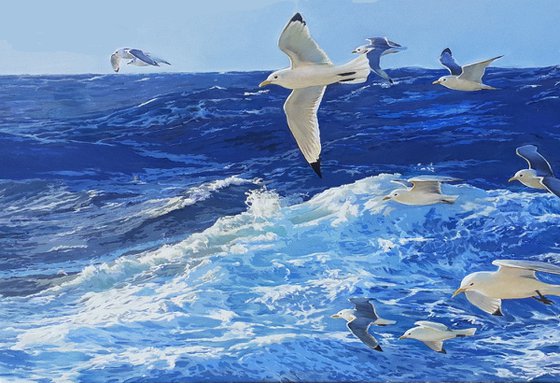 SEAGULLS