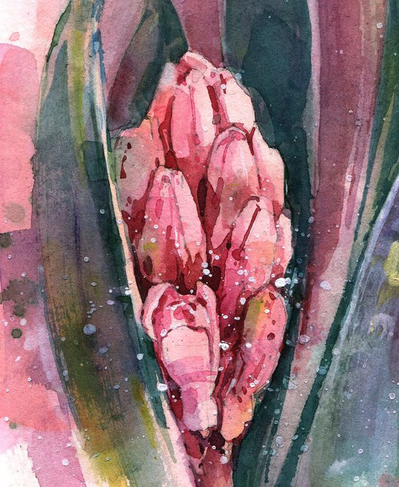 Watercolor sketch "Hyacinth flower"