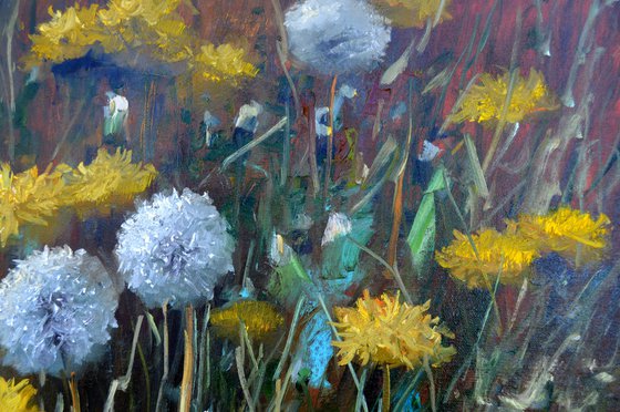 Fragment of a lawn of dandelions