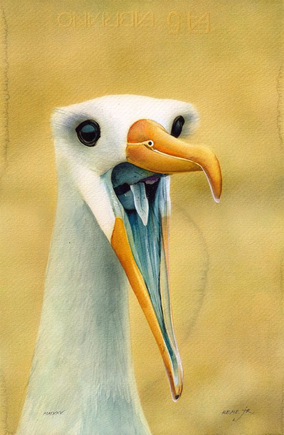 BIRD CCXXIV -  Portrait of a Glarus