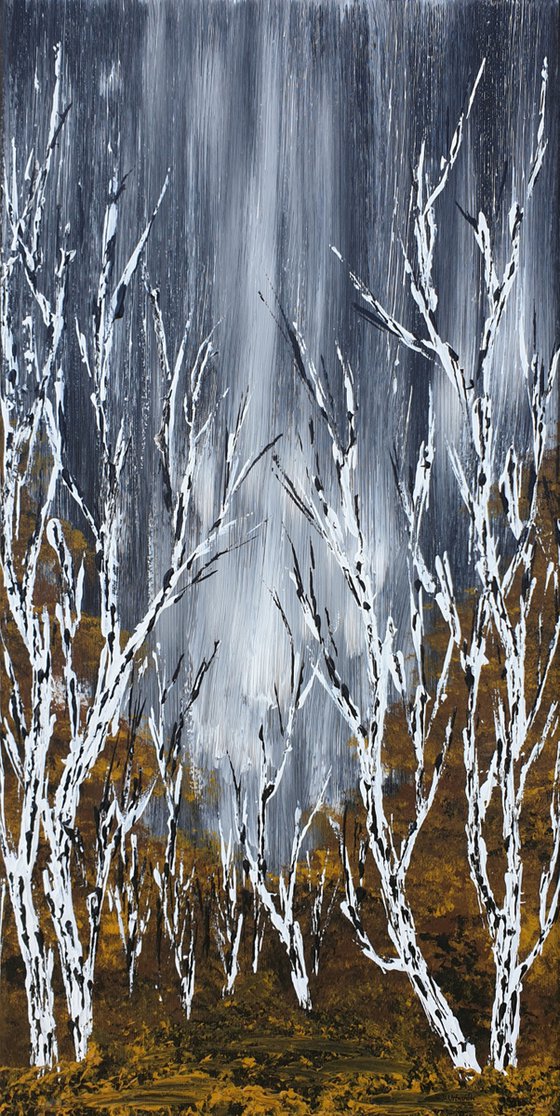 Birches In Winter