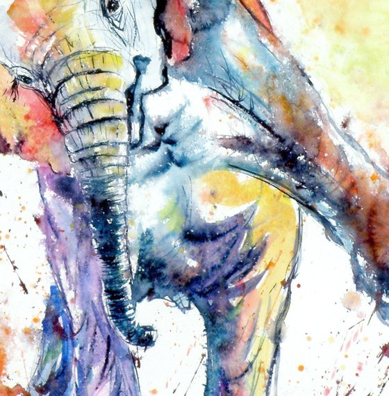 Playing elephant baby VI