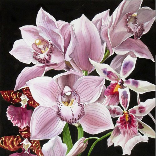 orchid bouquet by Alfred  Ng