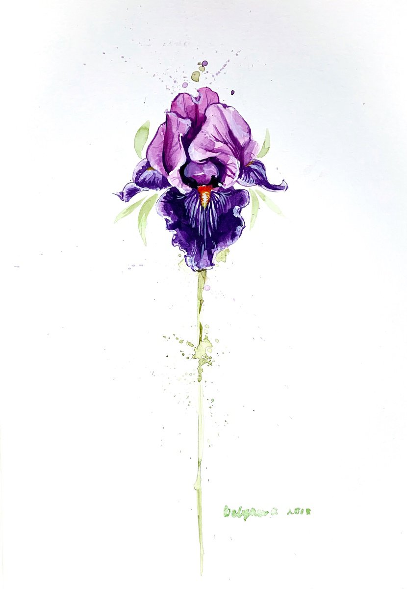 iris flower by Belyaeva Oleksandra